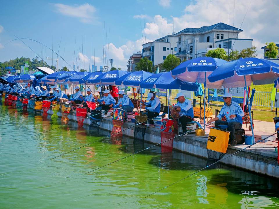 众多支流
